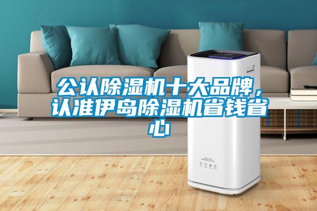 公認(rèn)除濕機(jī)十大品牌,認(rèn)準(zhǔn)伊島除濕機(jī)省錢省心