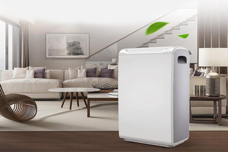 別吃了潮濕環境的虧，除濕機正確開啟方式