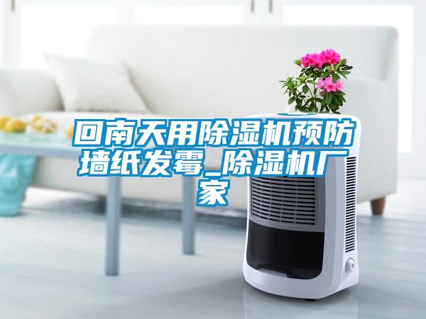 回南天用除濕機預(yù)防墻紙發(fā)霉_除濕機廠家