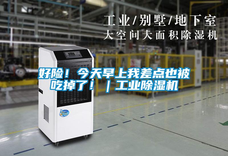 好險！今天早上我差點也被吃掉了！｜工業(yè)除濕機(jī)