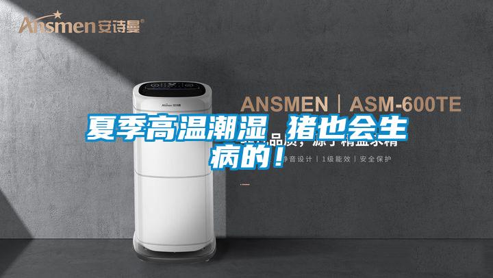 夏季高溫潮濕 豬也會生病的！