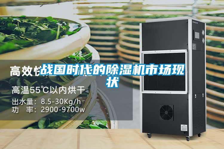 戰(zhàn)國時代的除濕機市場現(xiàn)狀