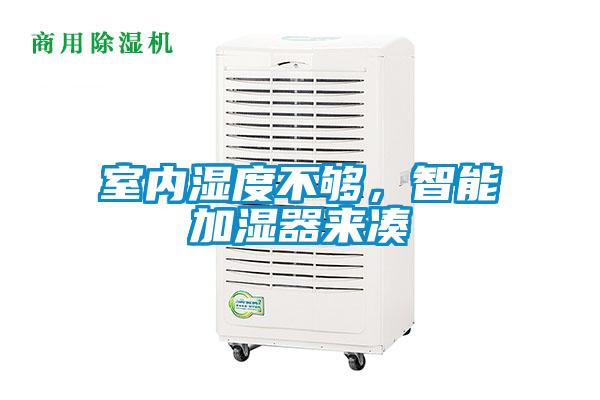 室內濕度不夠，智能加濕器來湊