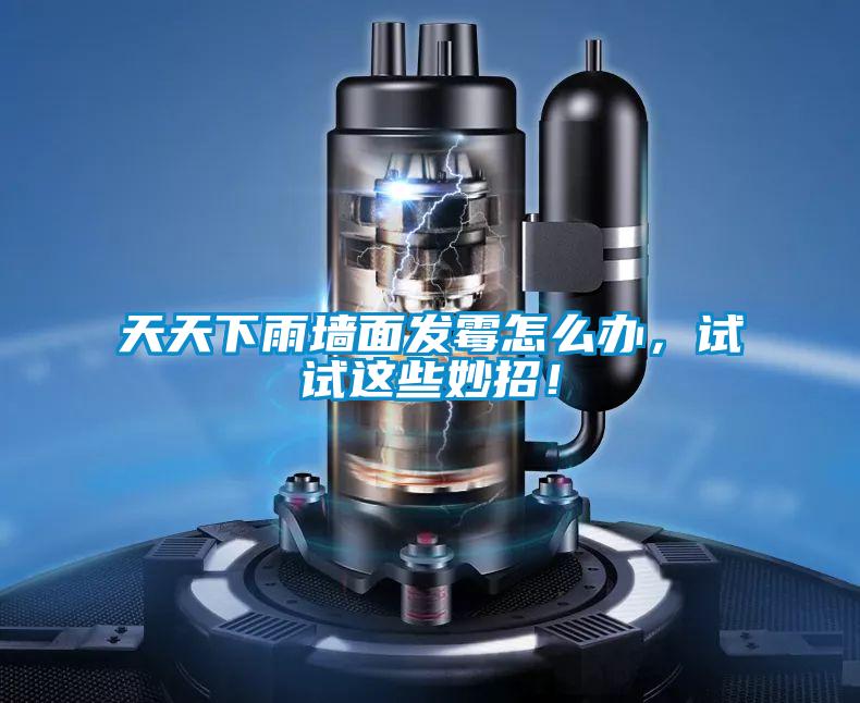 天天下雨墻面發霉怎么辦，試試這些妙招！