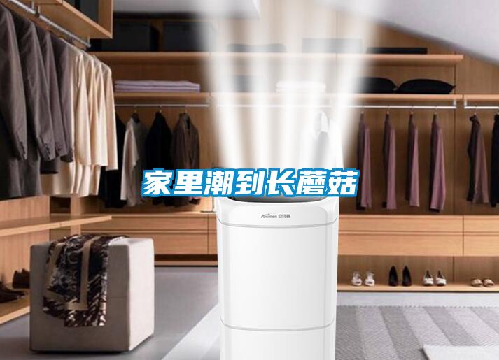 家里潮到長(zhǎng)蘑菇