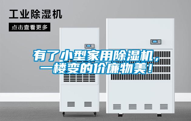有了小型家用除濕機，一樓變的價廉物美！