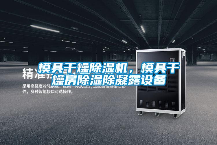 模具干燥除濕機，模具干燥房除濕除凝露設(shè)備