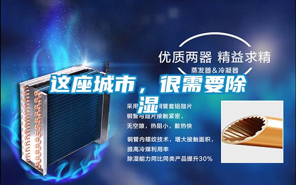 這座城市，很需要除濕