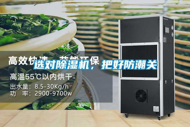 選對除濕機，把好防潮關