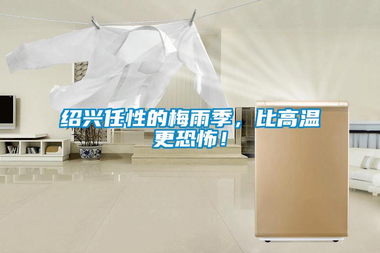 紹興任性的梅雨季,比高溫更恐怖!