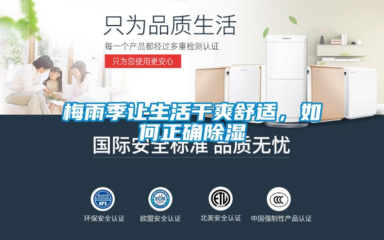 梅雨季讓生活干爽舒適，如何正確除濕