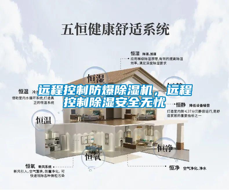 遠(yuǎn)程控制防爆除濕機(jī)，遠(yuǎn)程控制除濕安全無(wú)憂