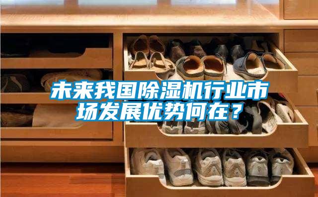 未來我國除濕機(jī)行業(yè)市場發(fā)展優(yōu)勢何在？