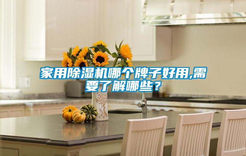 家用除濕機哪個牌子好用,需要了解哪些？