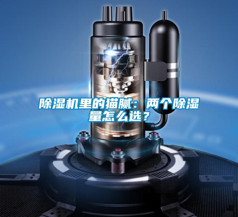除濕機(jī)里的貓膩：兩個除濕量怎么選？