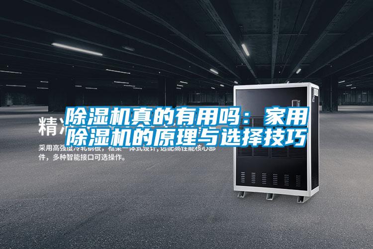 除濕機真的有用嗎:家用除濕機的原理與選擇技巧