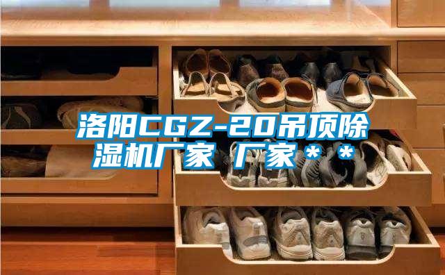 洛陽CGZ-20吊頂除濕機廠家 廠家**