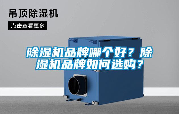 除濕機品牌哪個好?除濕機品牌如何選購?