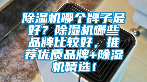 除濕機哪個牌子最好？除濕機哪些品牌比較好，推薦優質品牌+除濕機精選！