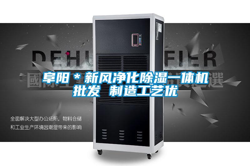 阜陽*新風凈化除濕一體機批發 制造工藝優