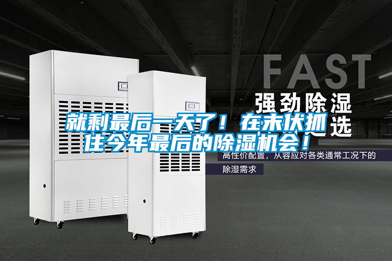 就剩最后一天了！在末伏抓住今年最后的除濕機會！