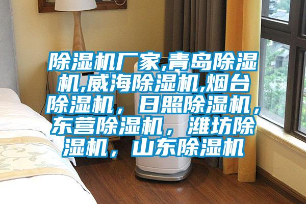 除濕機廠家,青島除濕機,威海除濕機,煙臺除濕機，日照除濕機，東營除濕機，濰坊除濕機，山東除濕機
