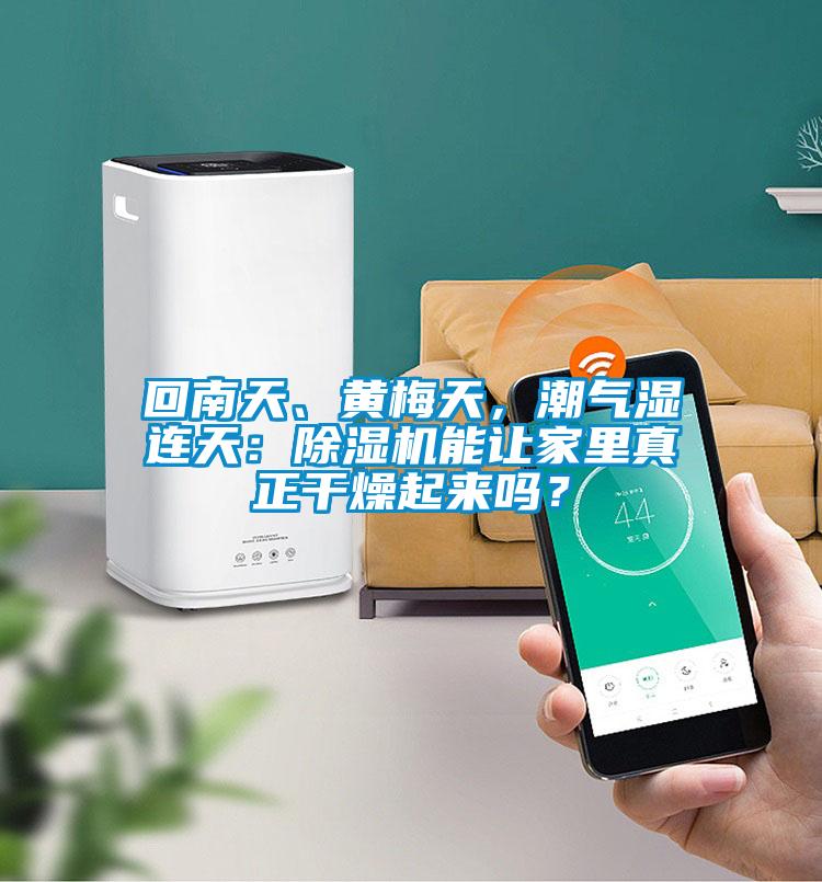 回南天、黃梅天，潮氣濕連天：除濕機能讓家里真正干燥起來嗎？