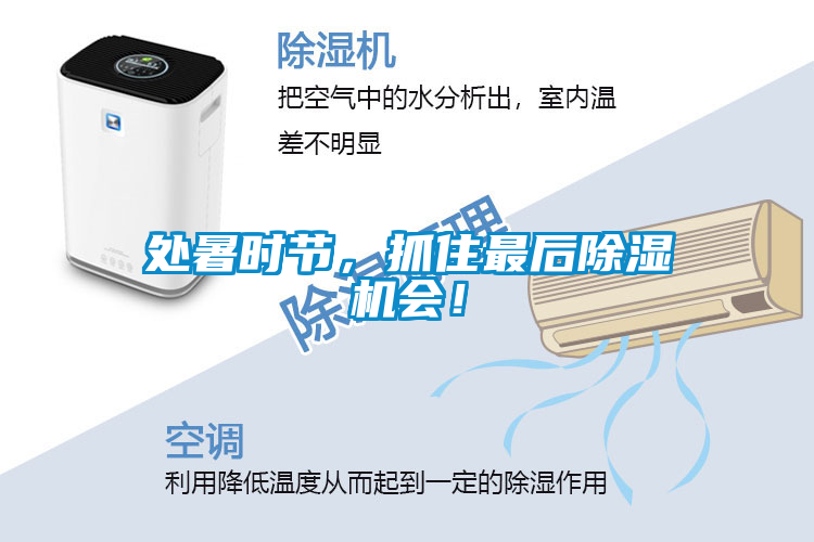 處暑時節(jié)，抓住最后除濕機會！
