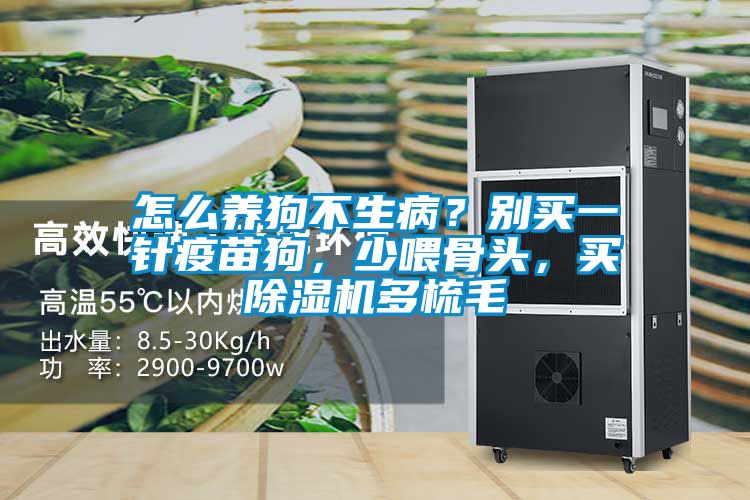 怎么養(yǎng)狗不生病？別買一針疫苗狗，少喂骨頭，買除濕機多梳毛