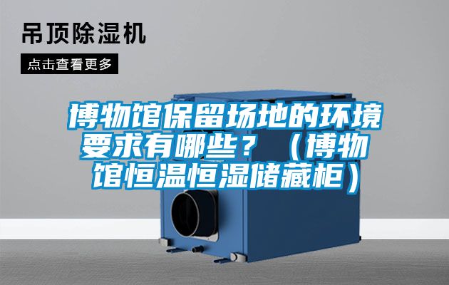 博物館保留場地的環境要求有哪些？（博物館恒溫恒濕儲藏柜）