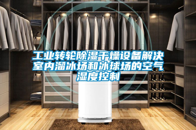 工業(yè)轉(zhuǎn)輪除濕干燥設備解決室內(nèi)溜冰場和冰球場的空氣濕度控制