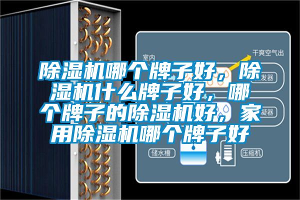 除濕機(jī)哪個牌子好，除濕機(jī)什么牌子好，哪個牌子的除濕機(jī)好，家用除濕機(jī)哪個牌子好