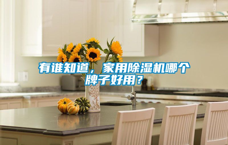 有誰知道，家用除濕機哪個牌子好用？