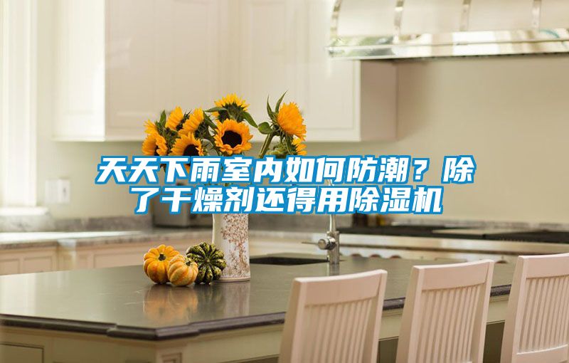 天天下雨室內(nèi)如何防潮？除了干燥劑還得用除濕機