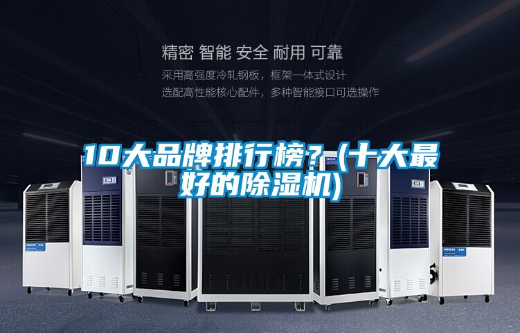 10大品牌排行榜？(十大最好的除濕機)