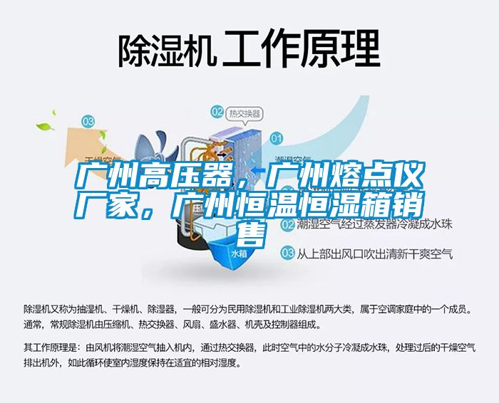 廣州高壓器,廣州熔點儀廠家,廣州恒溫恒濕箱銷售