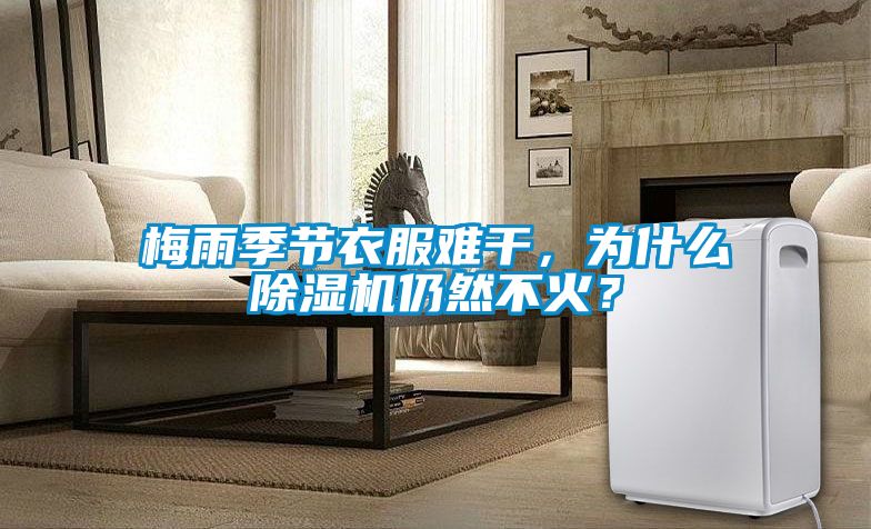梅雨季節(jié)衣服難干，為什么除濕機仍然不火？