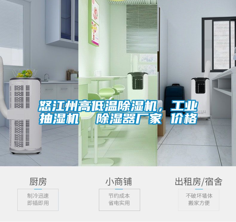 怒江州高低溫除濕機(jī)，工業(yè)抽濕機(jī)  除濕器廠家 價格