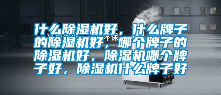 什么除濕機好，什么牌子的除濕機好，哪個牌子的除濕機好，除濕機哪個牌子好，除濕機什么牌子好